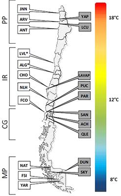 Variation in Thermal Tolerance of the Giant Kelp’s Gametophytes: Suitability of Habitat, Population Quality or Local Adaptation?